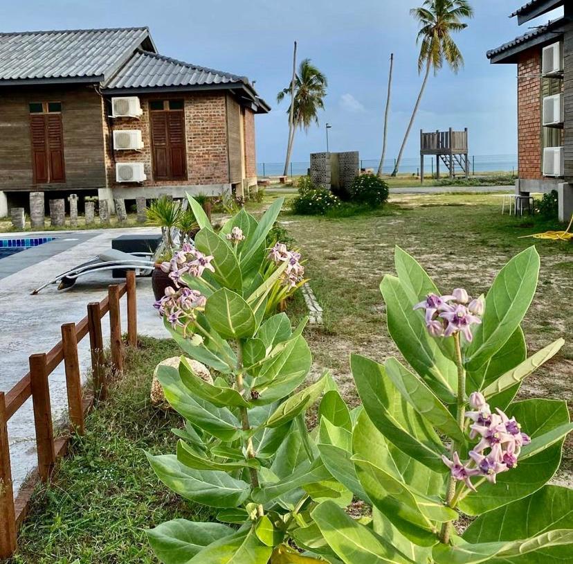 The Skepeng Daire Kampung Penarik Dış mekan fotoğraf